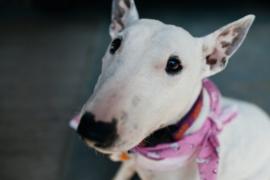 mcdonald_family_grandhaven_blog01