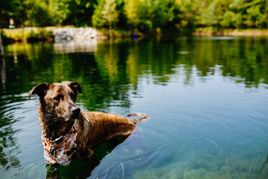 mcdonald_family_grandhaven_blog02