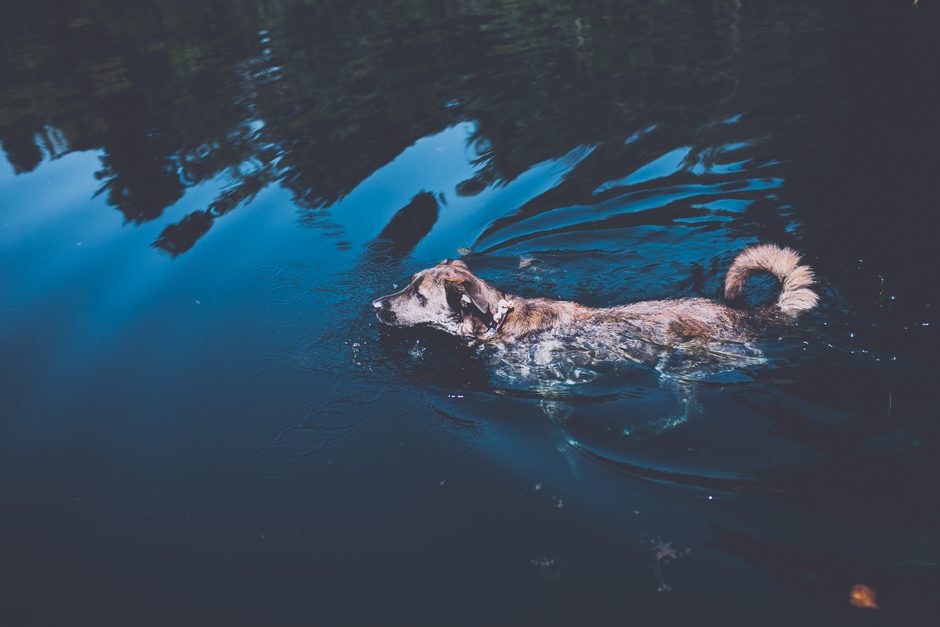 mcdonald_family_grandhaven_blog03