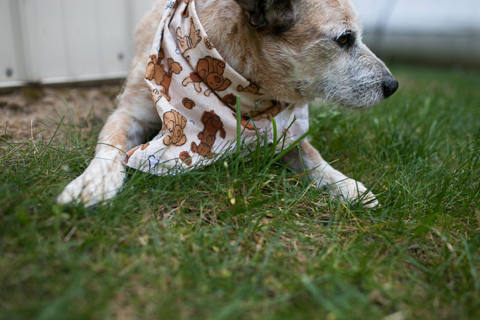 mcdonald_family_grandhaven_blog06