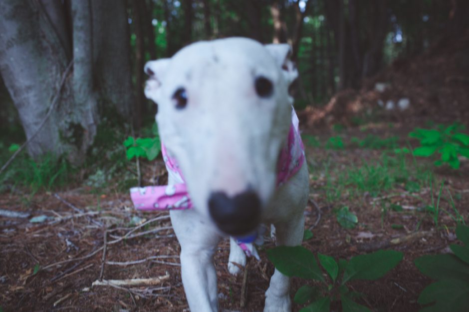 mcdonald_family_grandhaven_blog44