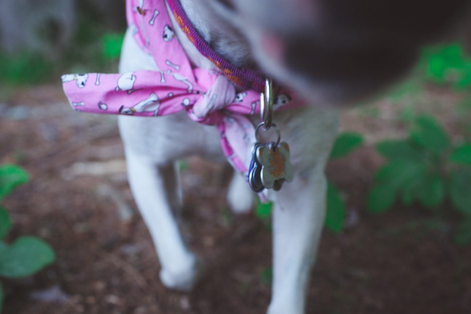 mcdonald_family_grandhaven_blog45