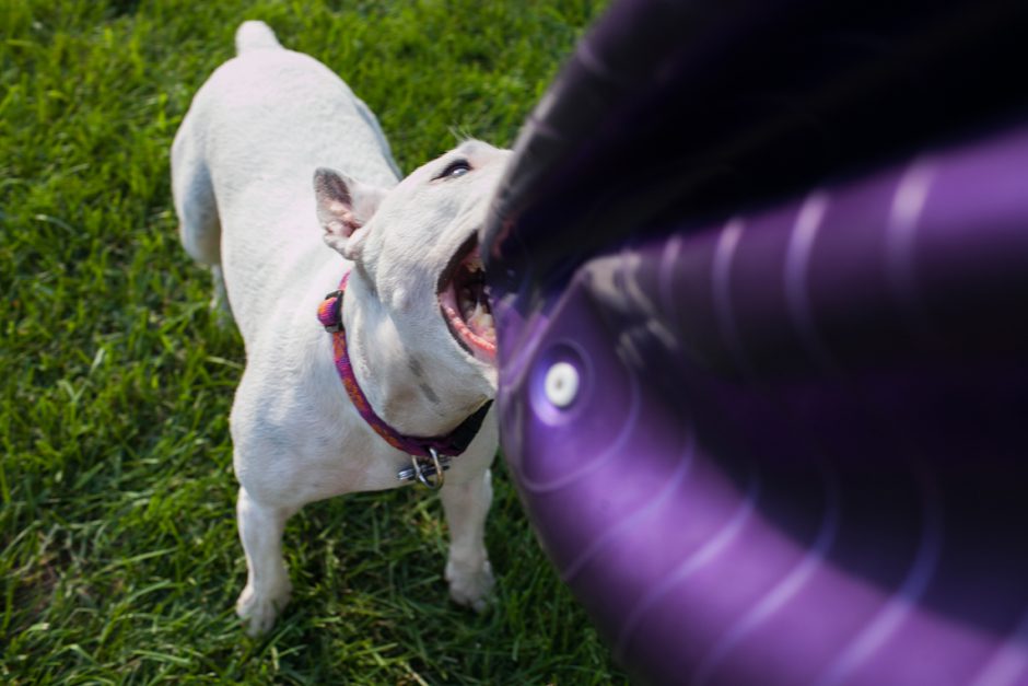 mcdonald_family_grandhaven_blog54