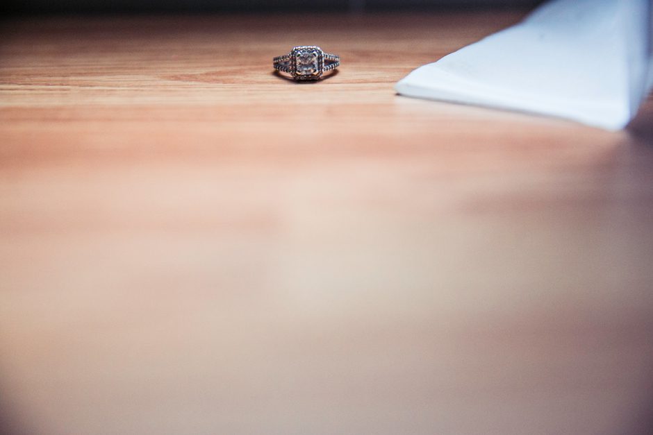 grandrapidsengagement016