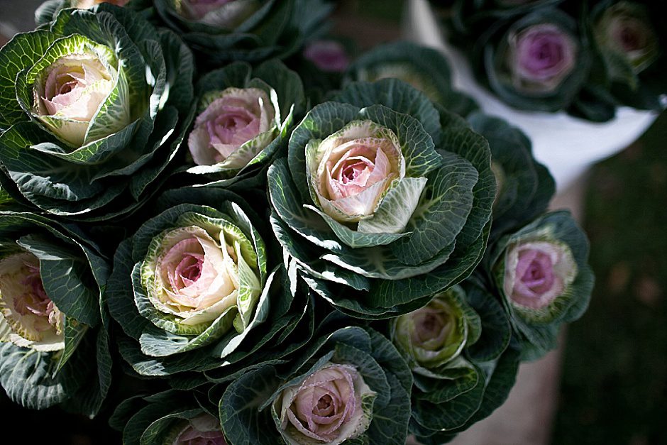 chicago_seniorphotography_rachelkayephotography52