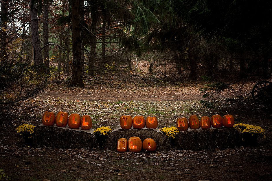 fall_proposal_photography_rachelkayephotography_grandhaven01