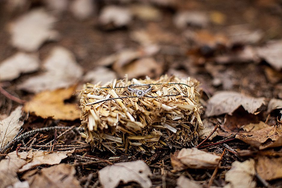 fall_proposal_photography_rachelkayephotography_grandhaven14