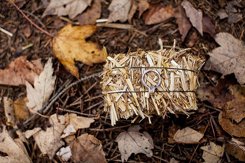 fall_proposal_photography_rachelkayephotography_grandhaven15