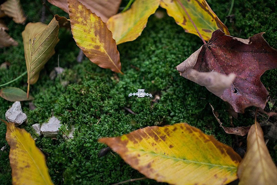 grandhaven_weddingphotography_fall_engagementphotography_animated49