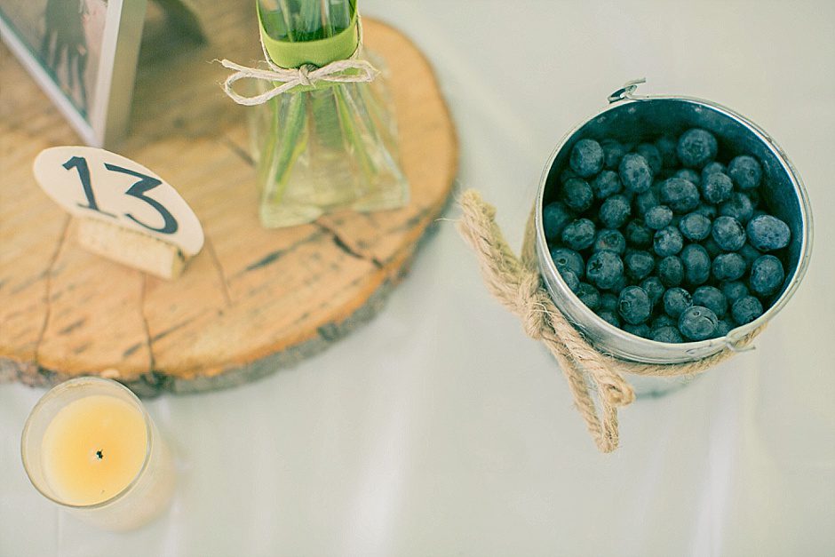 barefootwedding_hudsonvillemi_weddingphotographer033