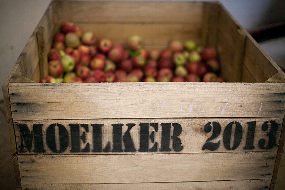 fallengagementphotography_zeelandmi69