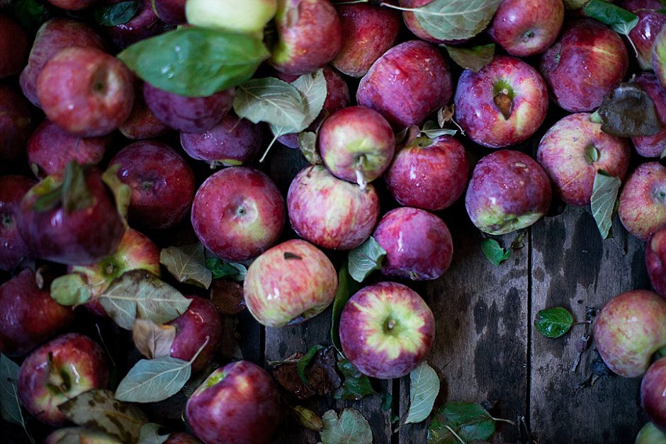 fallengagementphotography_zeelandmi83