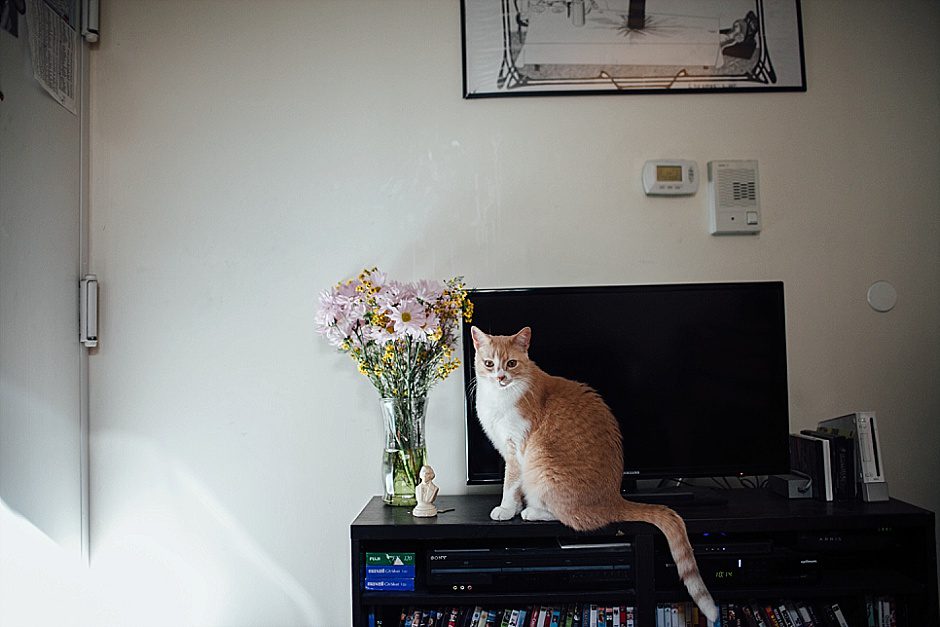 newyorkcityphotographer_rachelkayephotography01