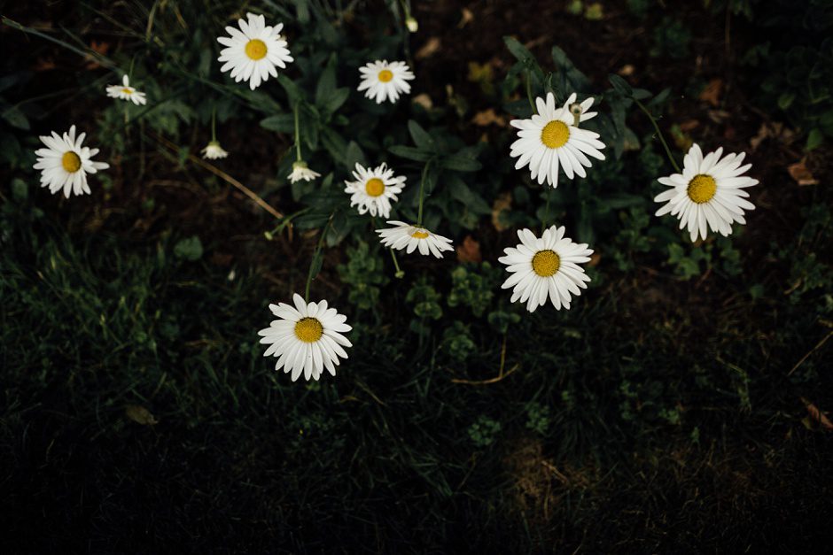 traverse-city_wedding_photographer087