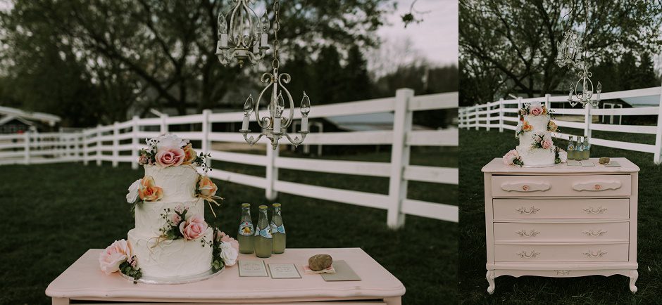 grand rapids wedding photographer