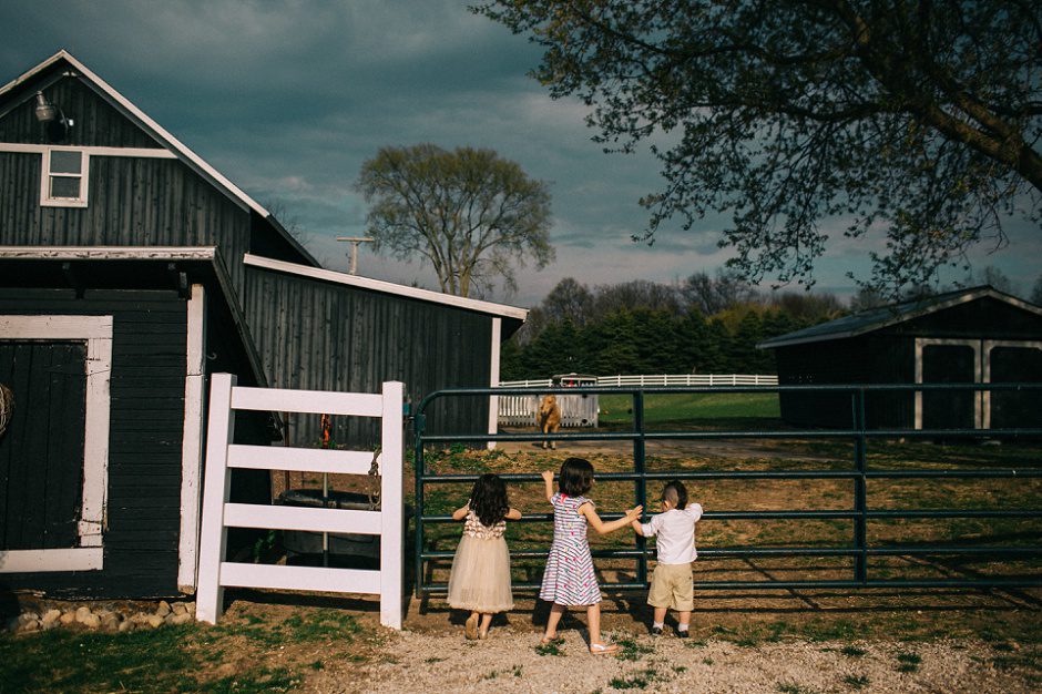 hydrangea_blue_grand_rapids_wedding19