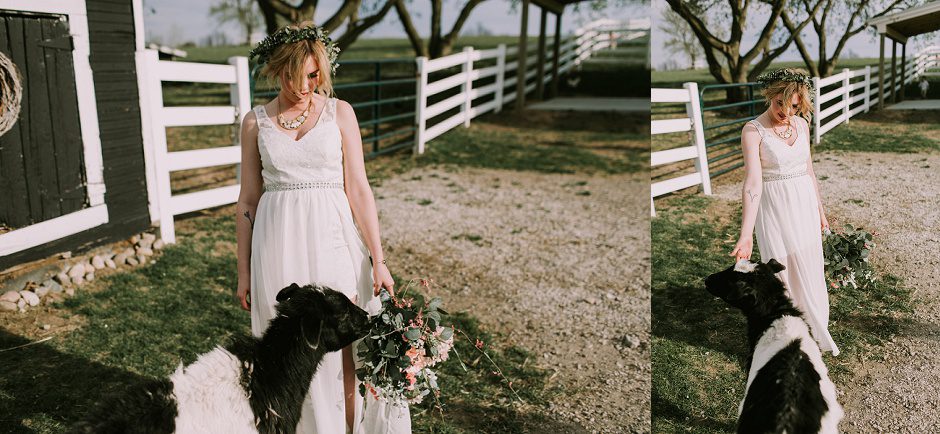 hydrangea_blue_grand_rapids_wedding21