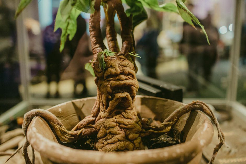 the making of harry potter114