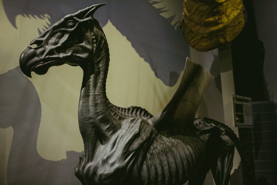 the making of harry potter115