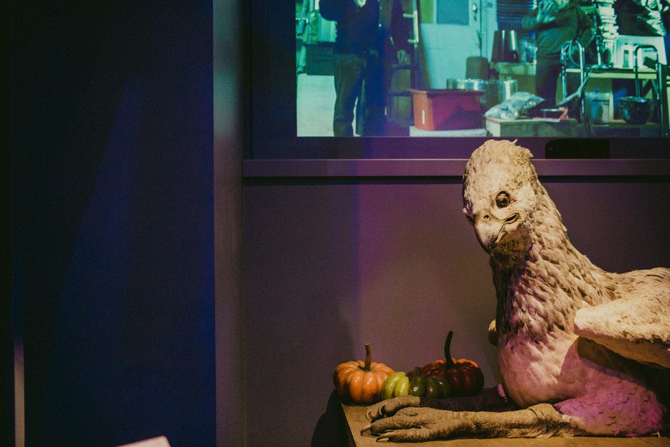 the making of harry potter117