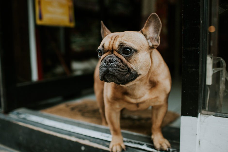 london_engagement_photographer47