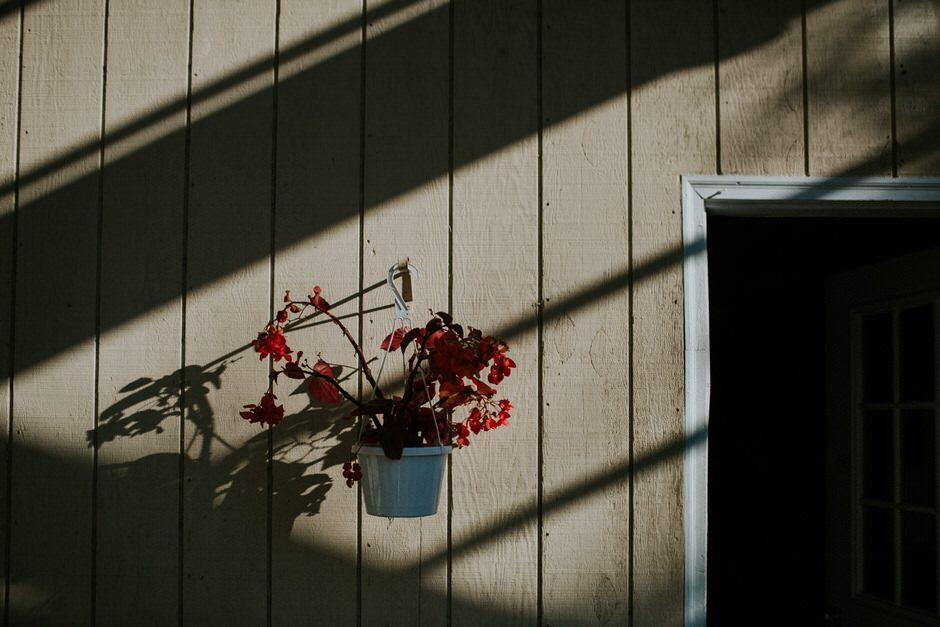 lauren_caleb_wedding_579