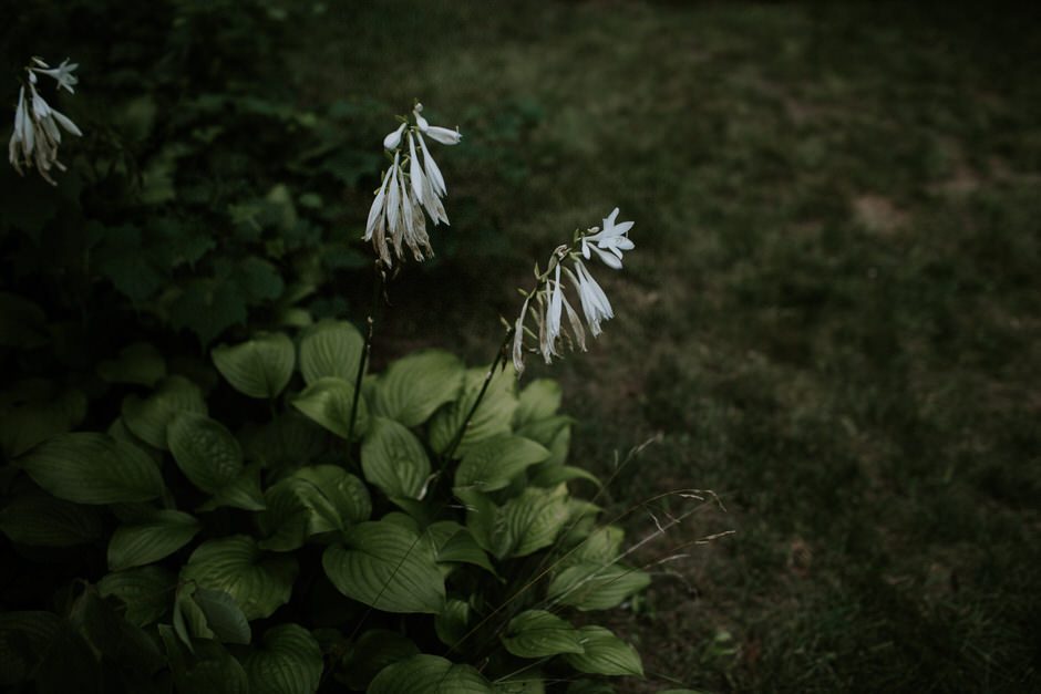 lauren_caleb_wedding_655