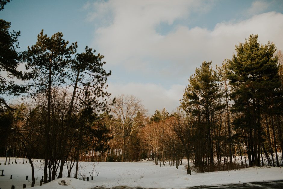 michigan winter landscape