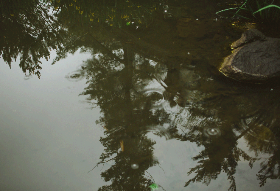 chicago wedding photographer